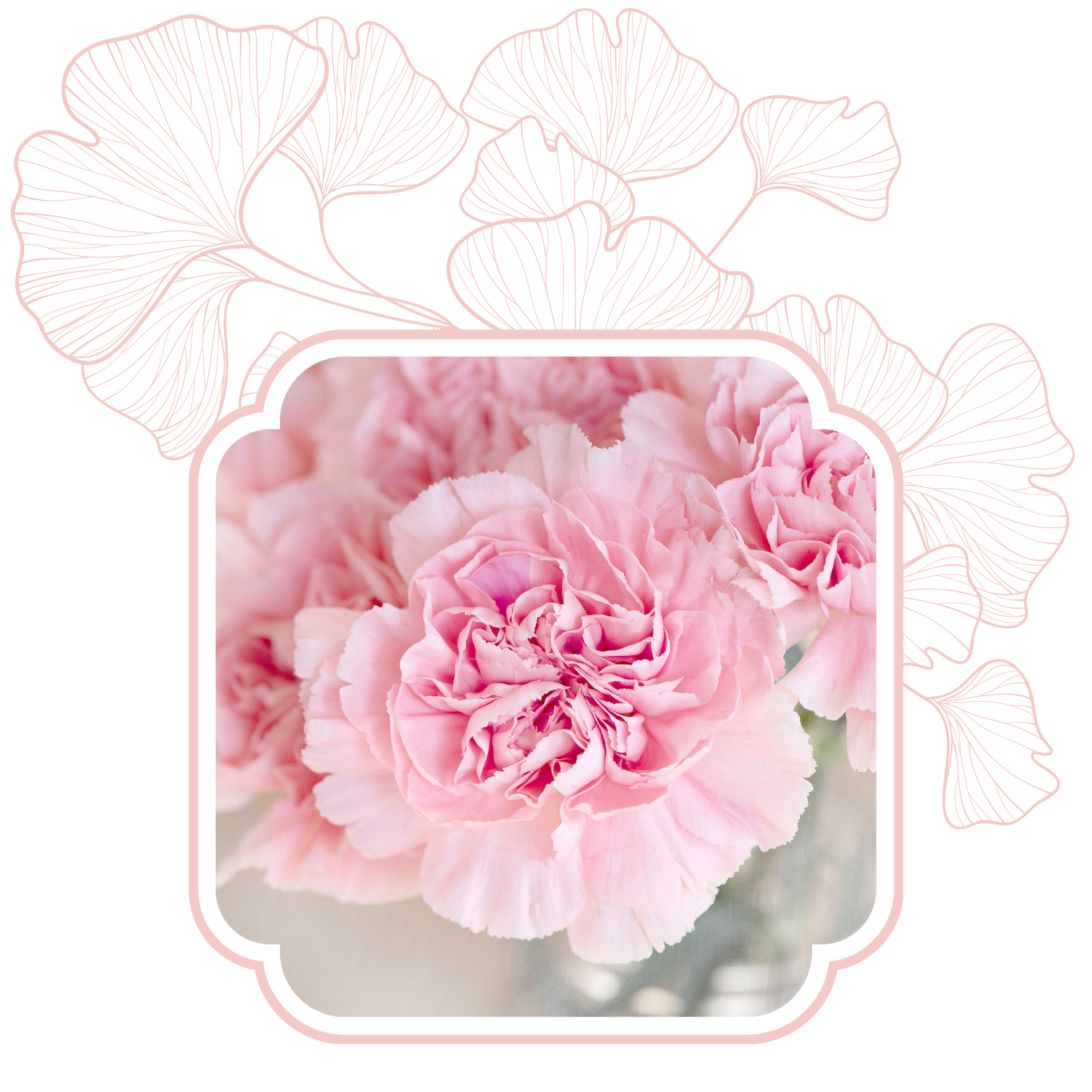 La boutique [Nom]Toutes nos fleurs